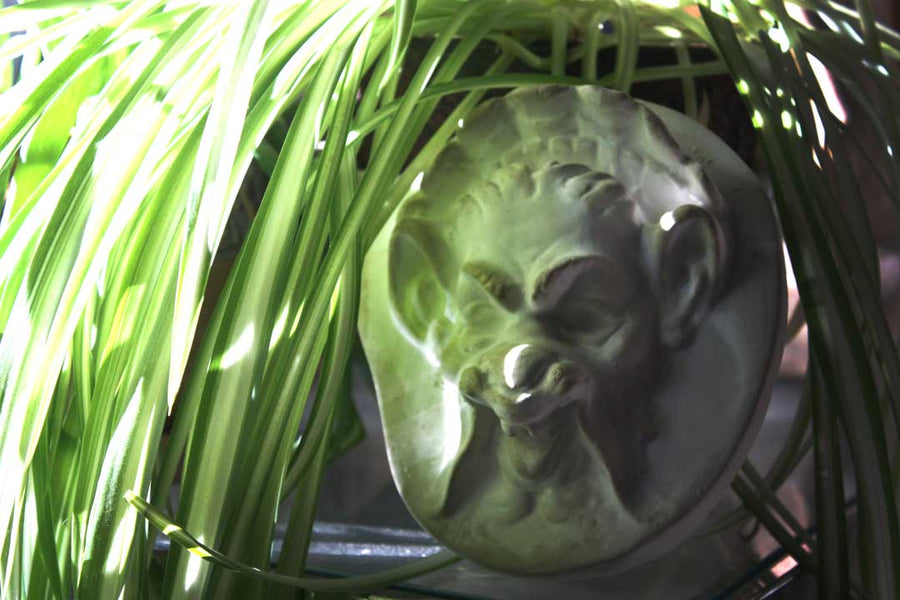 Photo of plaster sculpture of a Faun Head with dappling light and a spider plant on the left