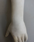 Left Hand of Venus de' Medici - Item