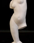 photo of plaster cast sculpture of female torso and right leg flowing into plaster base against black background