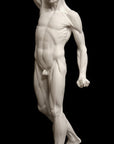 Anatomy of Man 1 - Item