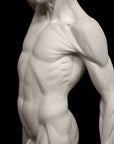 Anatomy of Man 1 - Item