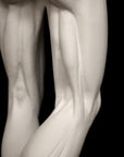 Anatomy of Man 1 - Item