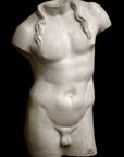 Male, Anatomical - Item
