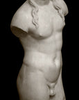 Male, Anatomical - Item