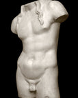 Male, Anatomical - Item