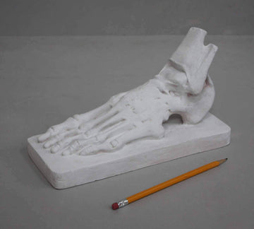photo with gray background of plaster cast sculpture of flayed left foot on a rectangular base and a yellow pencil laying nearby
