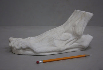 photo with gray background of plaster cast sculpture of flayed left foot on panel with yellow pencil beside it