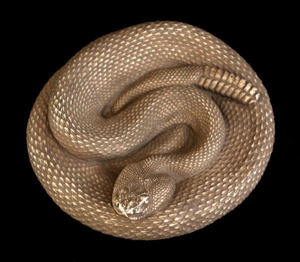 Snake Sculpture for Sale, Item #701 | Caproni Collection