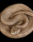 Snake - Item