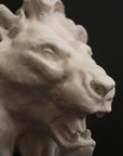 Lion - Item