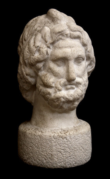 Photo with black background of plaster cast sculpture of male bust, namely the god Zeus, with curly hair and beard