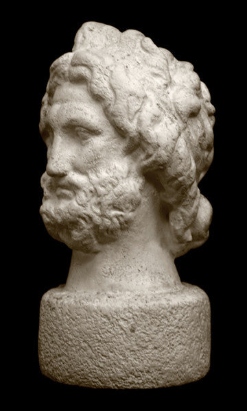 Photo with black background of plaster cast sculpture of male bust, namely the god Zeus, with curly hair and beard