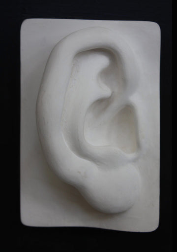 Photo of plaster cast sculpture of right ear on panel from Michelangelo's David statue on a black background