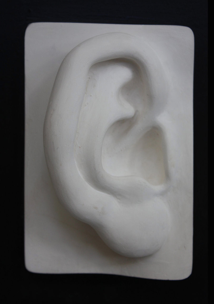 photo with black background of plaster cast of sculpted right ear on panel