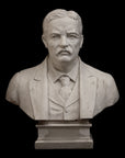 Theodore Roosevelt - Item