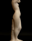 image of a plaster statue of a nude female figure, namely Phryne, on a black background