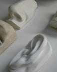 Photo of four plaster casts of nose, left eye, mouth, and left ear from Michelangelo's David statue from a sideways angle on a white background