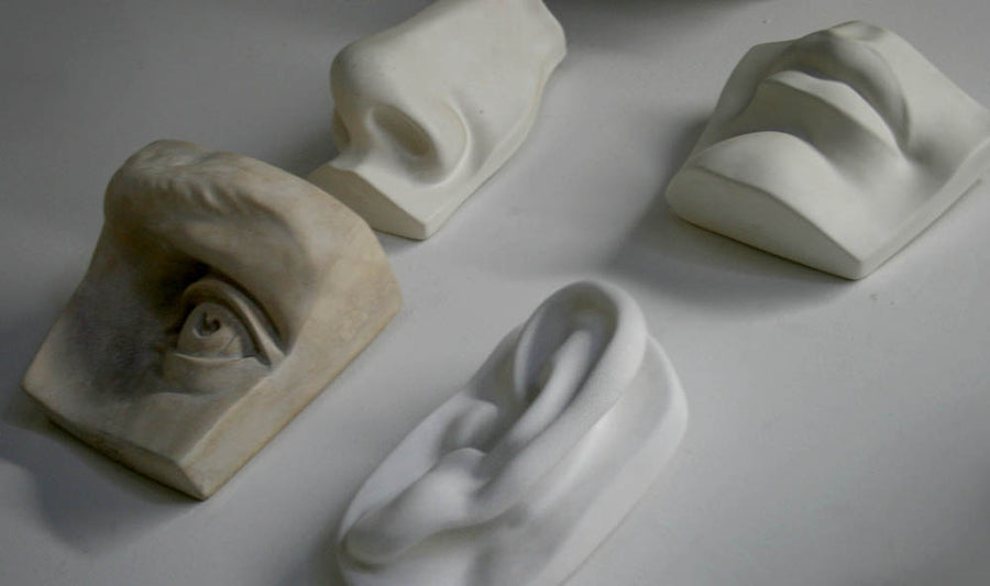 Photo of four plaster casts of nose, left eye, mouth, and left ear from Michelangelo's David statue from a sideways angle  on a white background