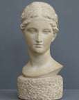Photo of Plaster Cast sculpture bust of goddess Hebe on a gray background