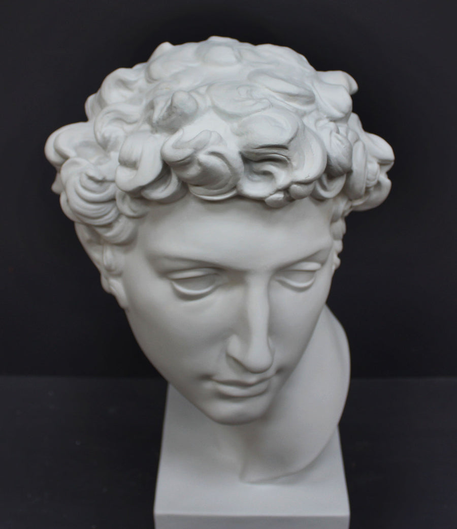 photo looking down at white plaster cast bust sculpture of male with curly hair atop cube base against gray background