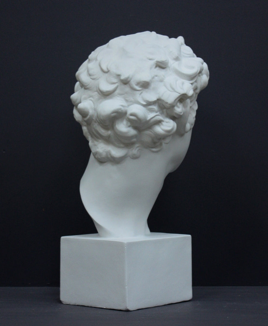 photo of back of white plaster cast bust sculpture of male with curly hair atop cube base against gray background