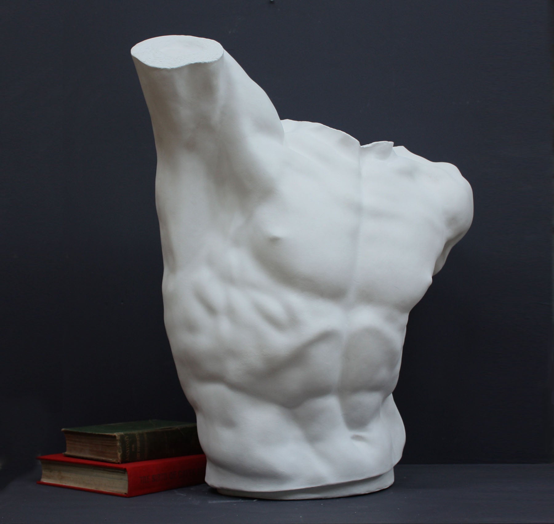 Laocoon Torso Sculpture for Sale, Item #135 | Caproni Collection