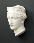 Photo of white plaster cast sculpture of mask/face of female with headband, namely Pauline Bonaparte, on gray background