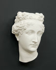 Photo of white plaster cast sculpture of mask/face of female with headband, namely Pauline Bonaparte, on gray background