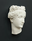 Photo of white plaster cast sculpture of mask/face of female with headband, namely Pauline Bonaparte, on gray background