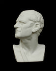 Photo of white plaster cast sculpture of mask/face of male facing right on black background