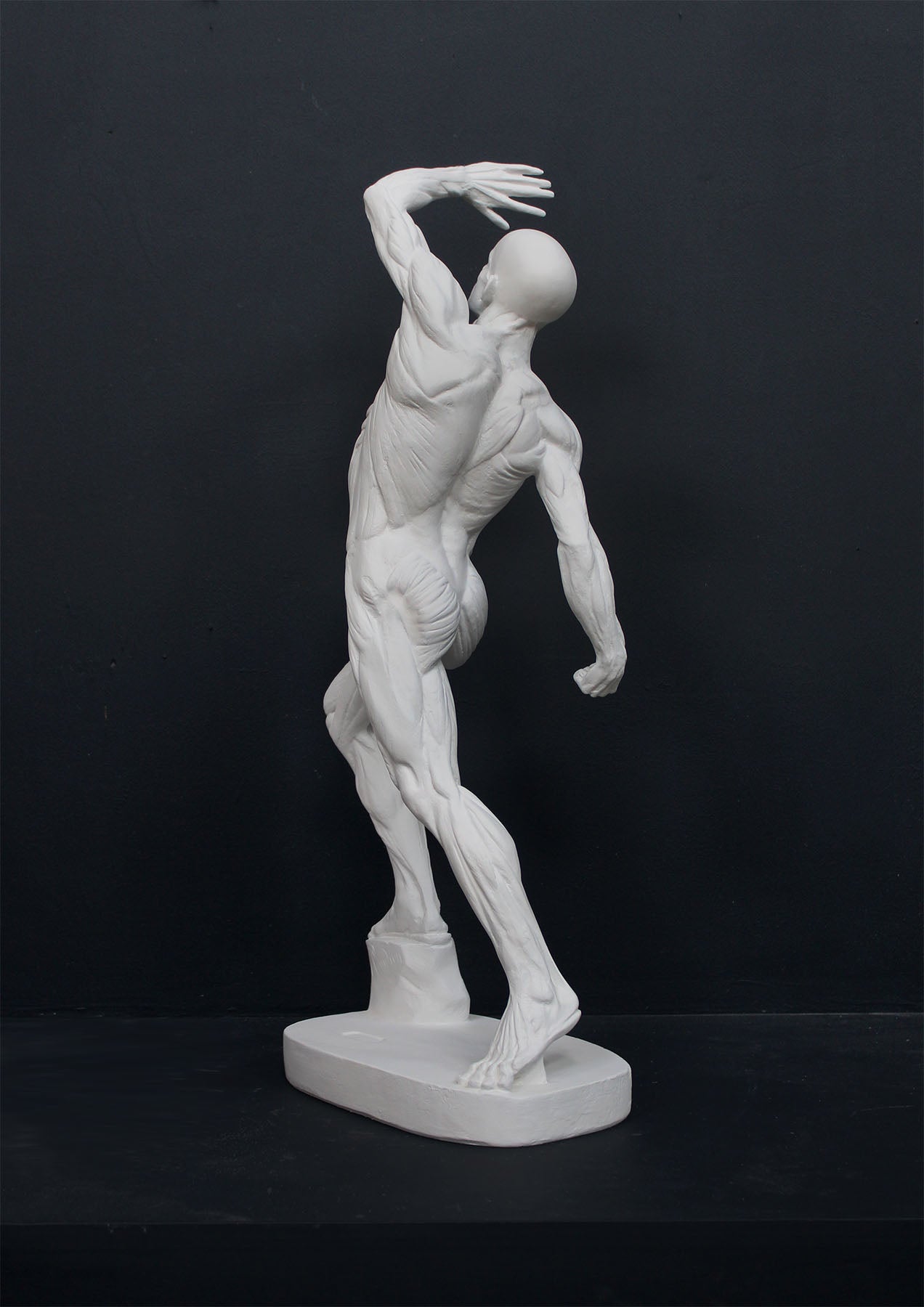photo of white plaster cast sculpture reproduction of flayed figure aka anatomical man arched back with left arm raised overhead against gray background