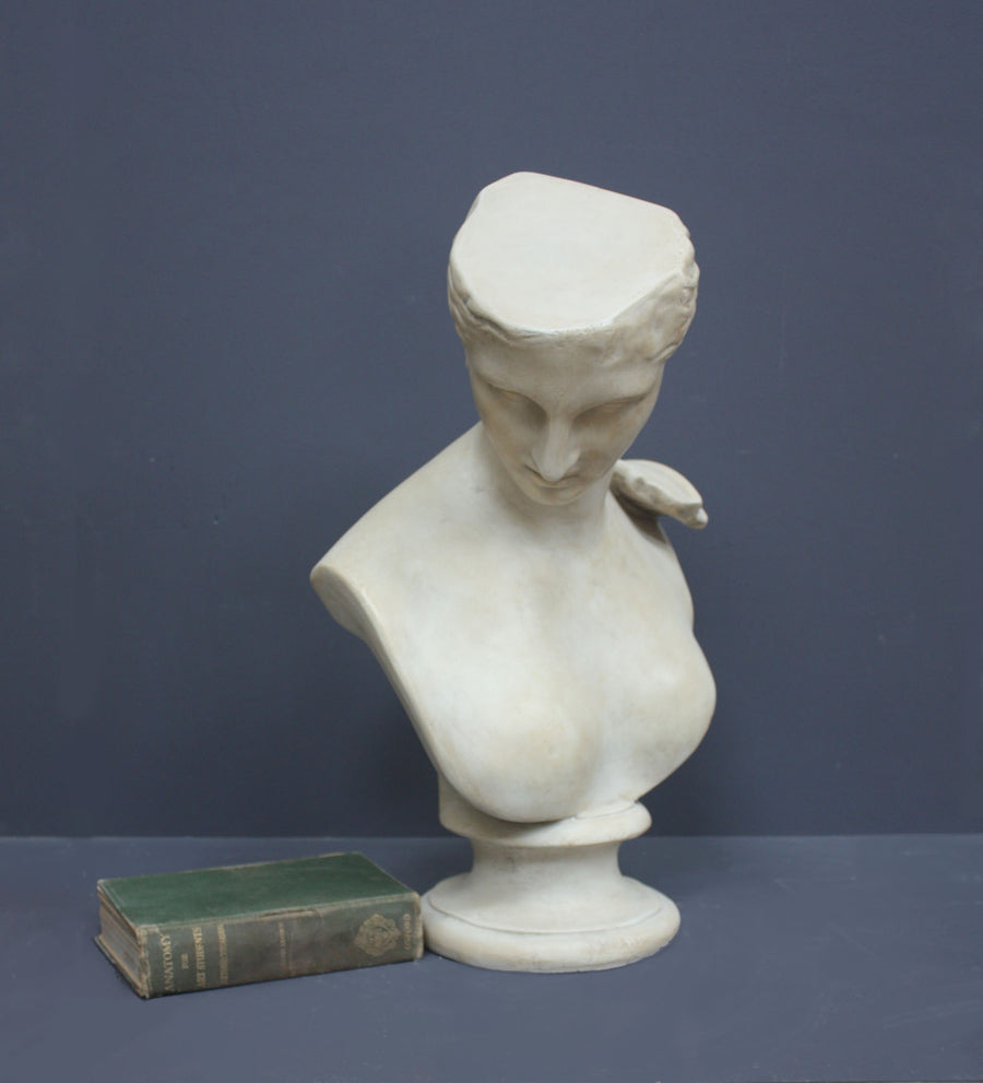 photo of off-white plaster cast sculpture bust of female without top of head and with piece of drapery on socle base with green book laying beside it on gray background