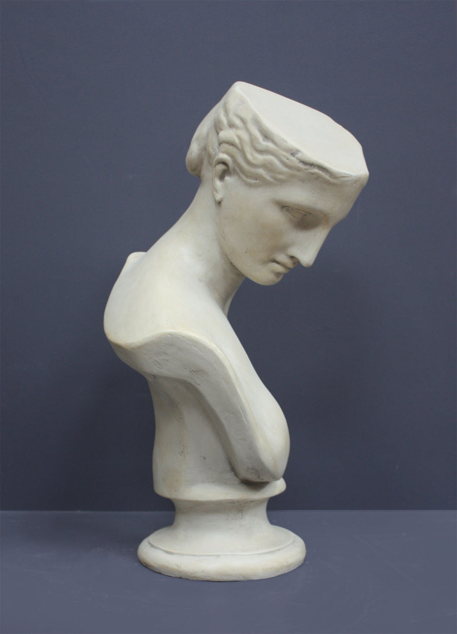 photo of off-white plaster cast sculpture bust of female without top of head and with piece of drapery on socle base on gray background