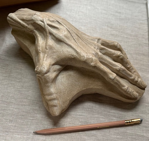 photo of plaster cast sculpture in yellow antique color of anatomically-rendered, flayed, left hand on a panel placed on light gray surface with pencil laying nearby