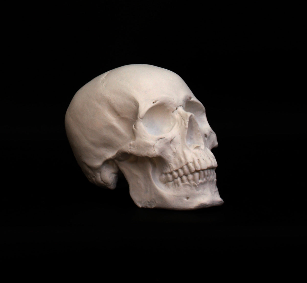 Photo of a sculpture of a skull on a black background