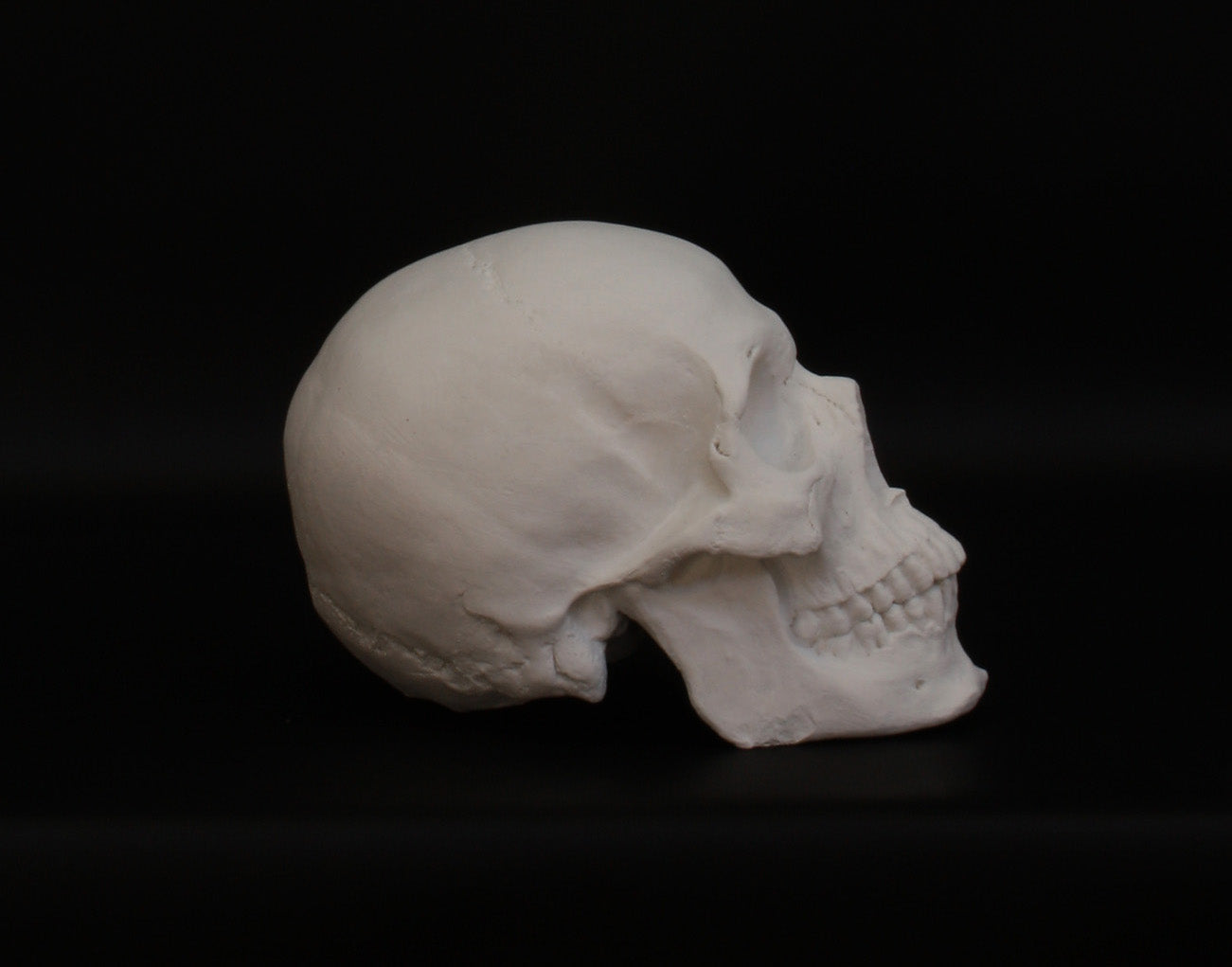 Photo of a sculpture of a skull on a black background