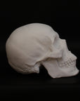 Photo of a sculpture of a skull on a black background