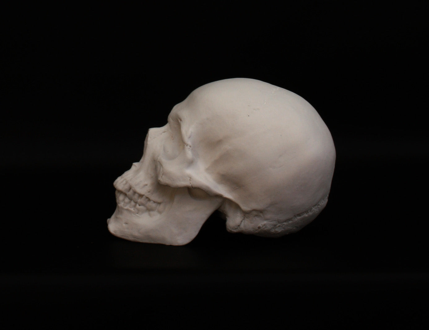 Photo of a sculpture of a skull on a black background