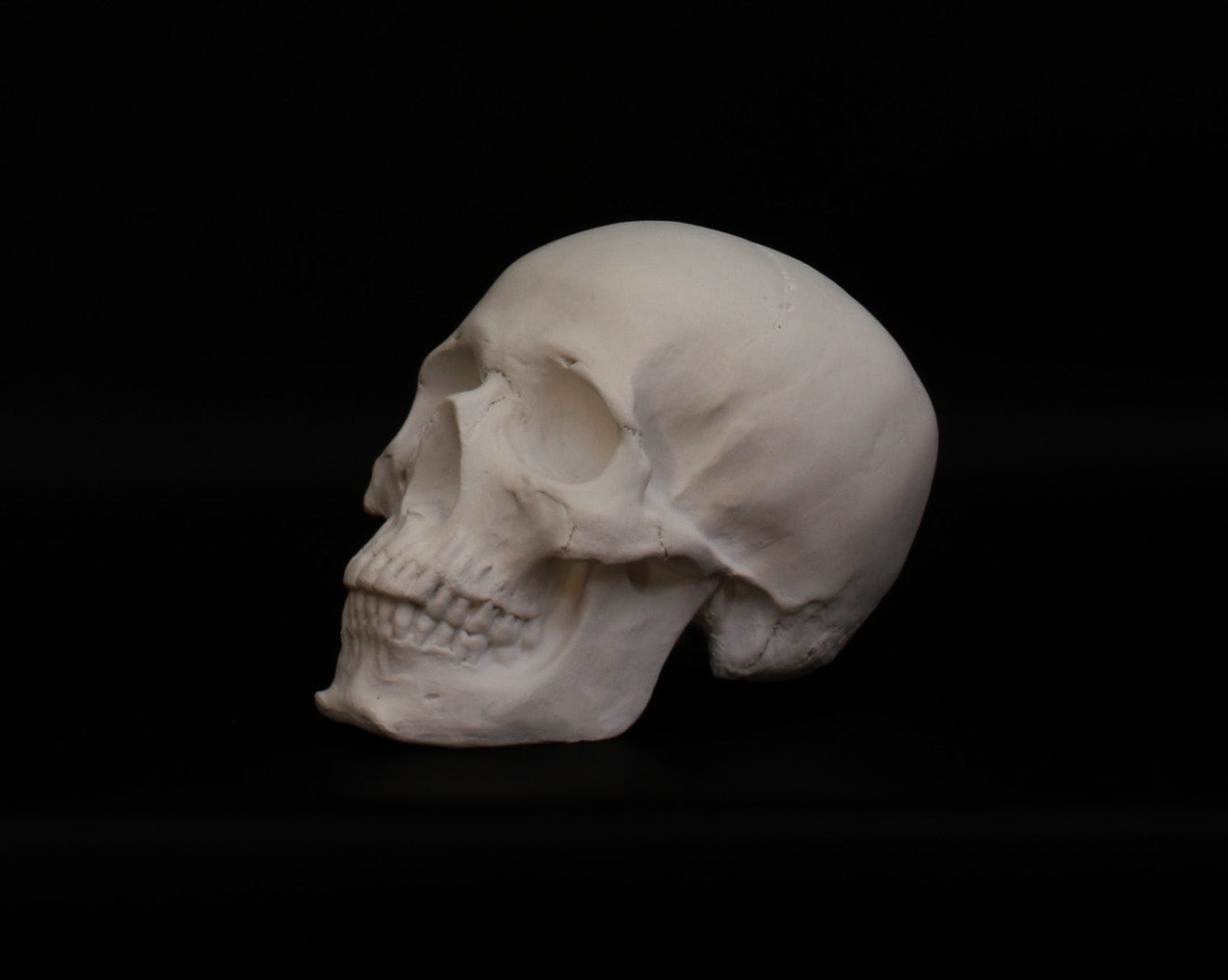 Photo of a sculpture of a skull on a black background