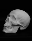 Photo of a sculpture of a skull on a black background