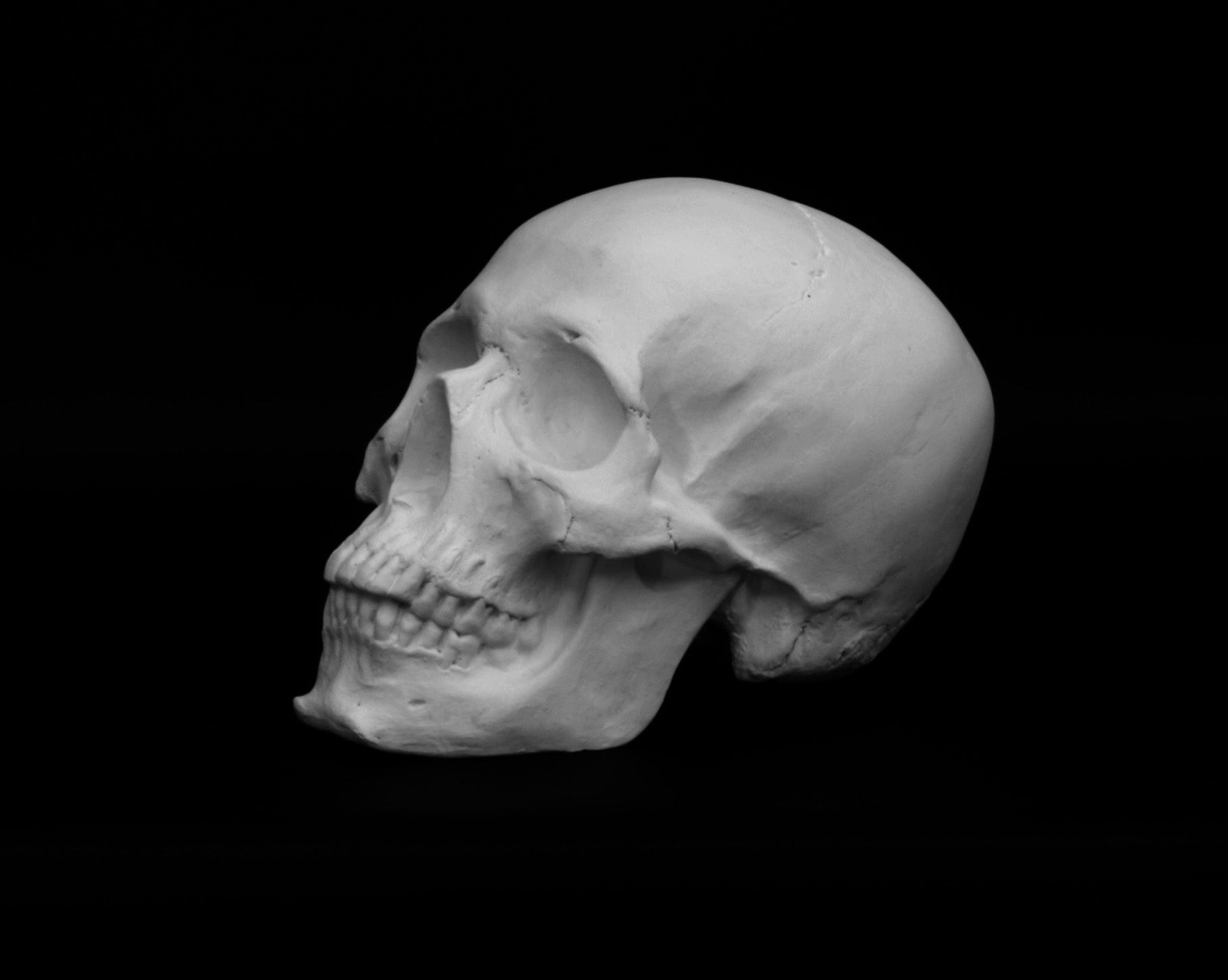 Photo of a sculpture of a skull on a black background