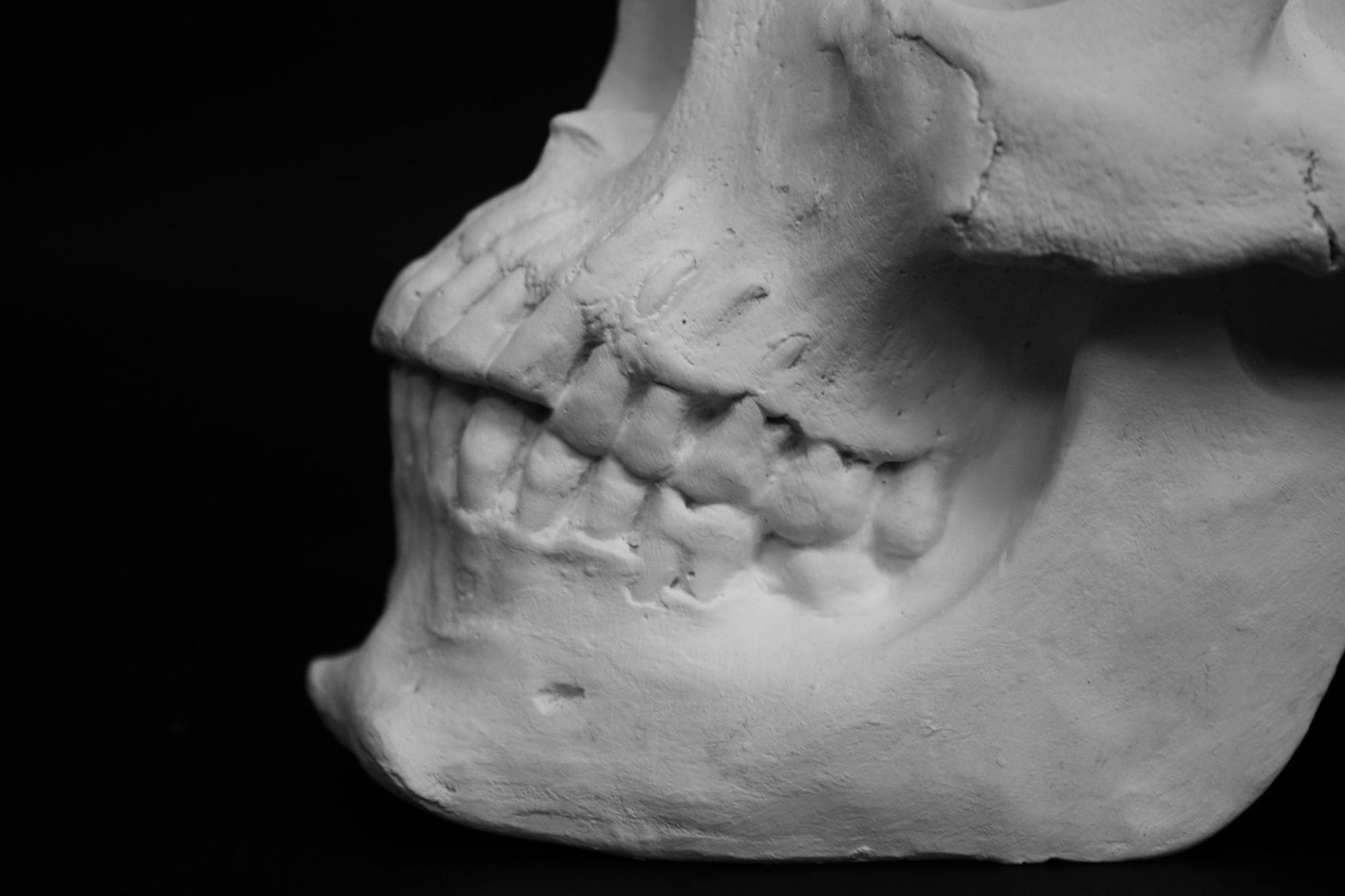 Photo of a sculpture of a skull on a black background