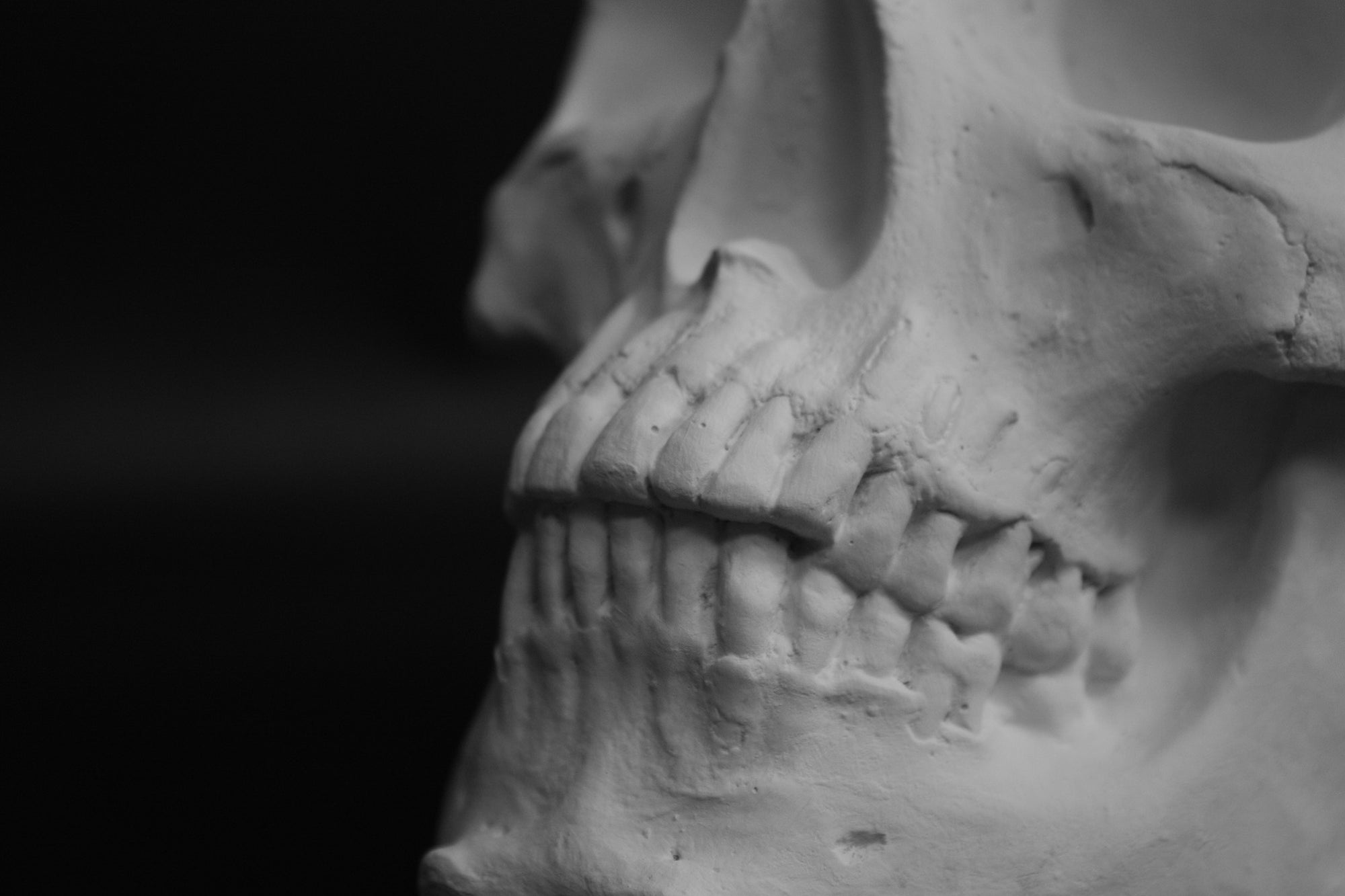 Photo of a sculpture of a skull on a black background