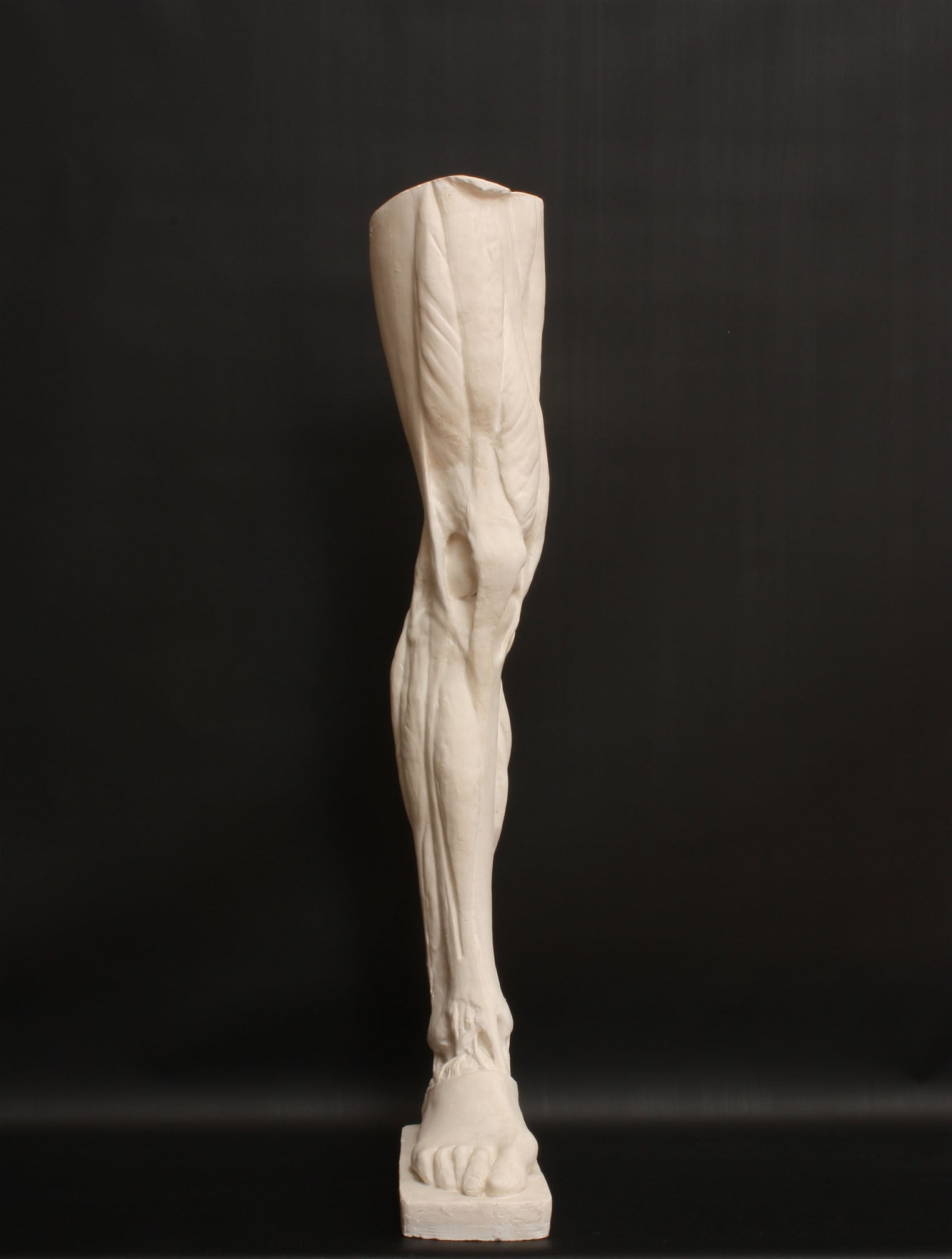 Photo of a sculpture of a leg on a black background