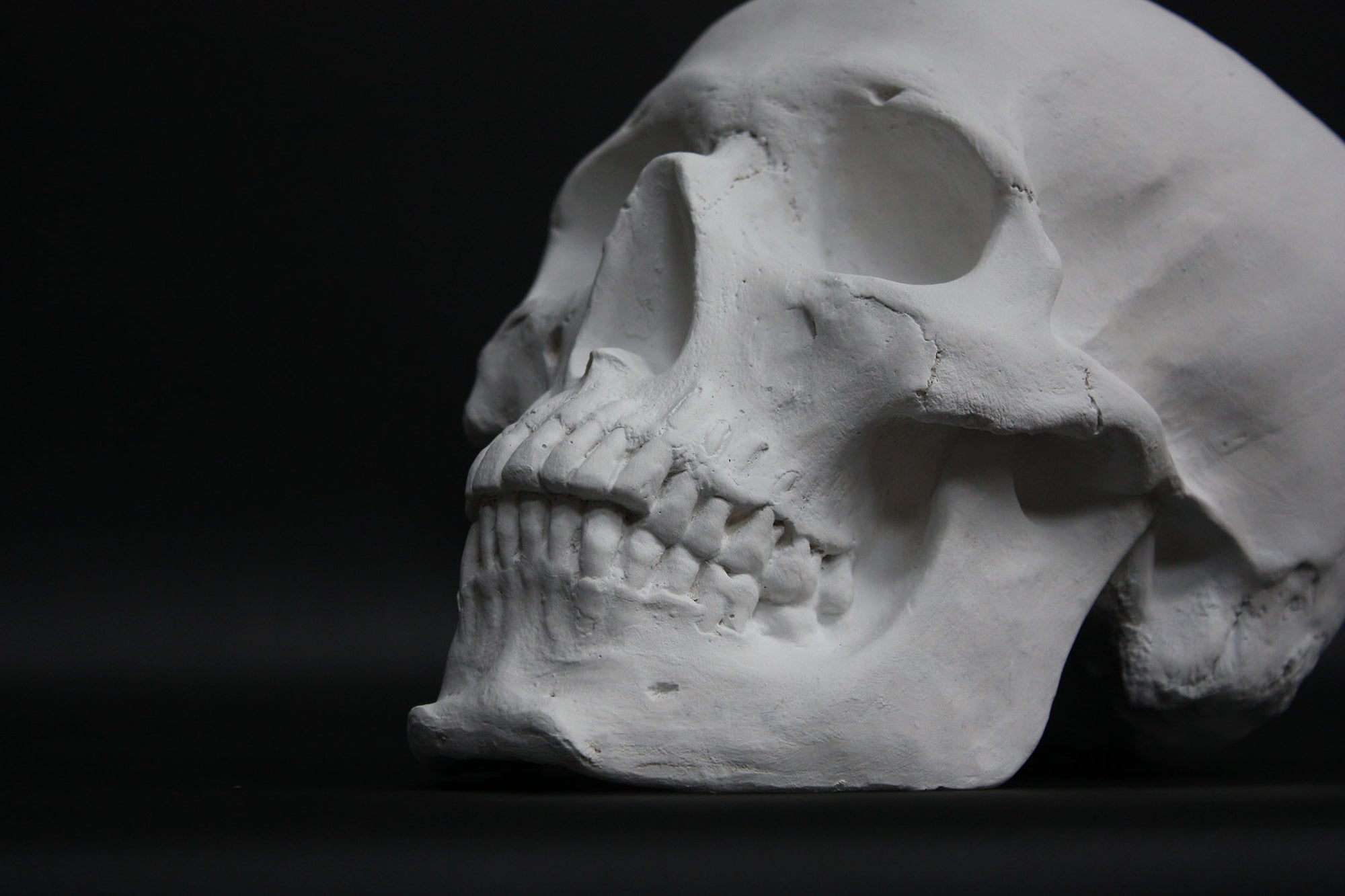 Photo of a sculpture of a skull on a black background