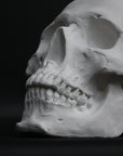Photo of a sculpture of a skull on a black background