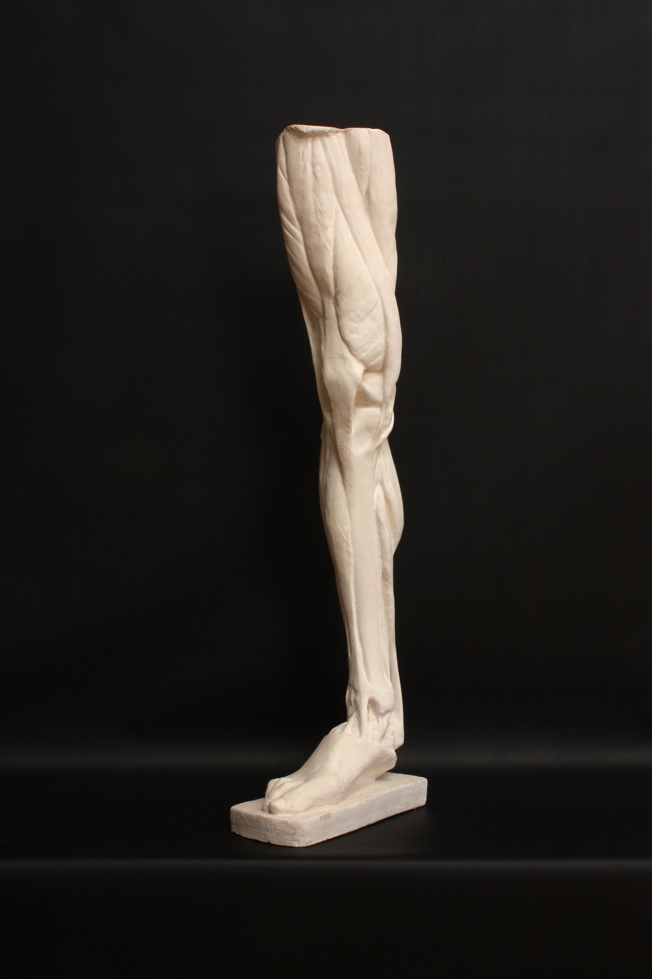 Photo of a sculpture of a leg on a black background