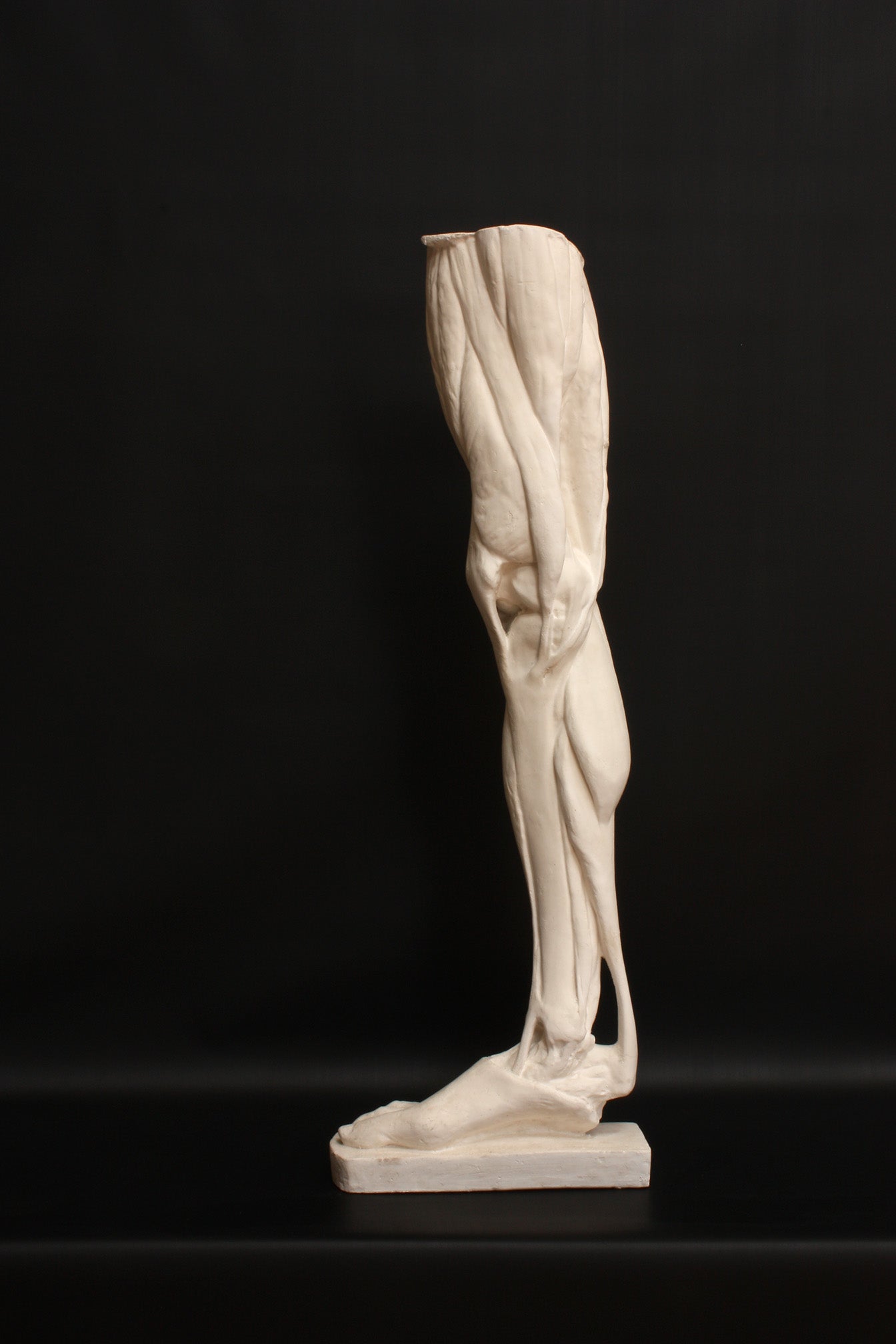 Photo of a sculpture of a leg on a black background