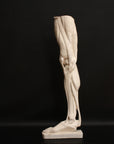 Photo of a sculpture of a leg on a black background