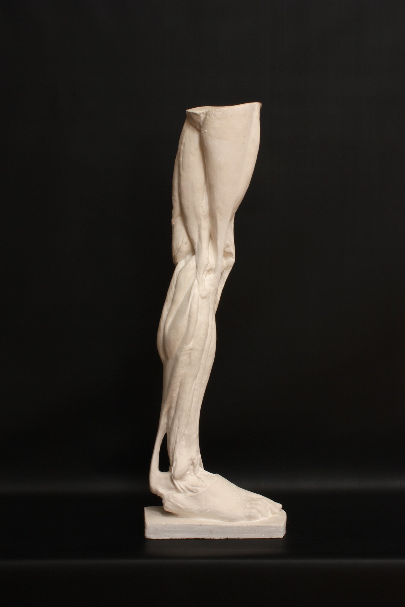 Photo of a sculpture of a leg on a black background